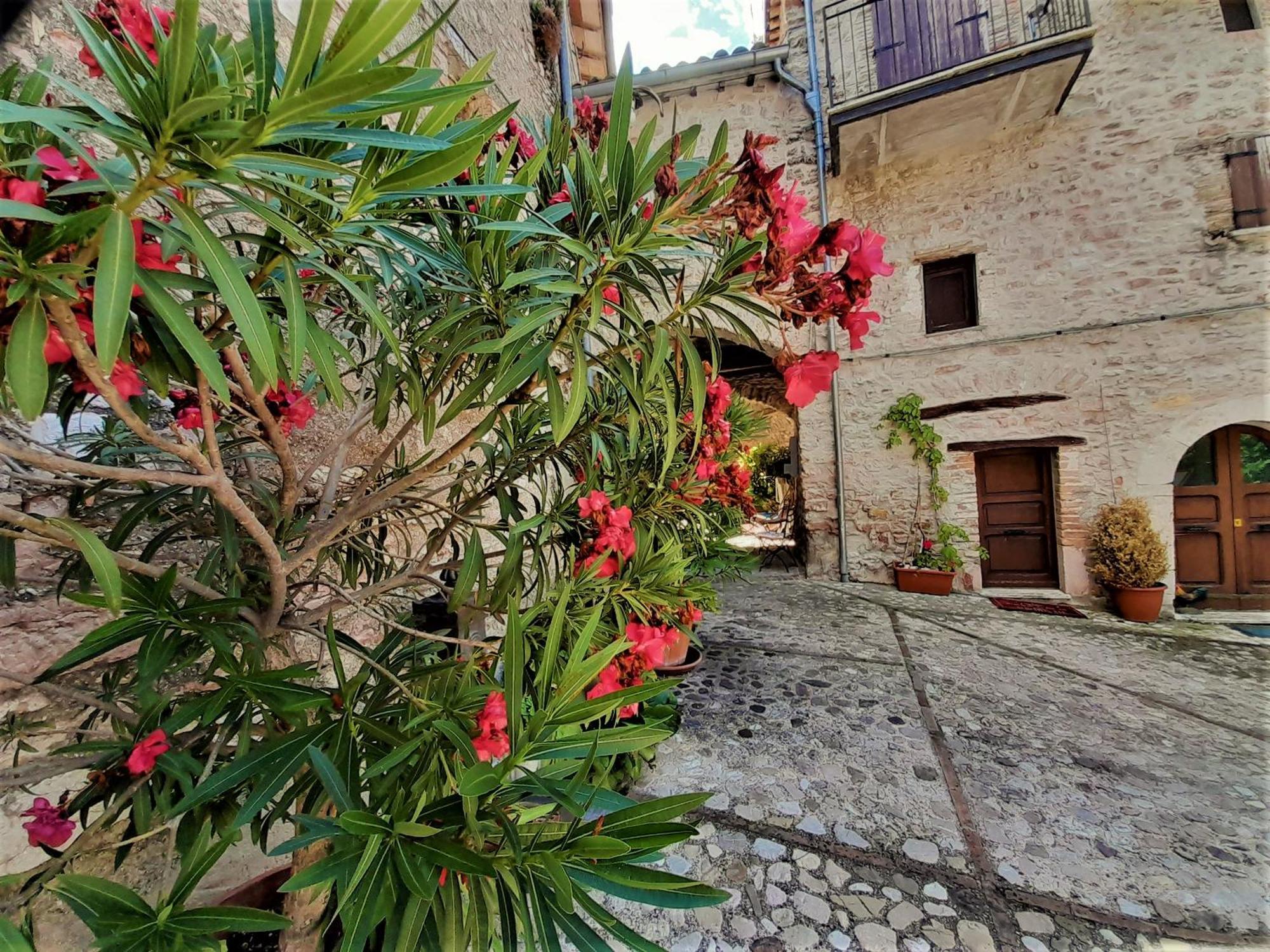 Appartamento Eremo di Santo Apollinare Messenano Esterno foto