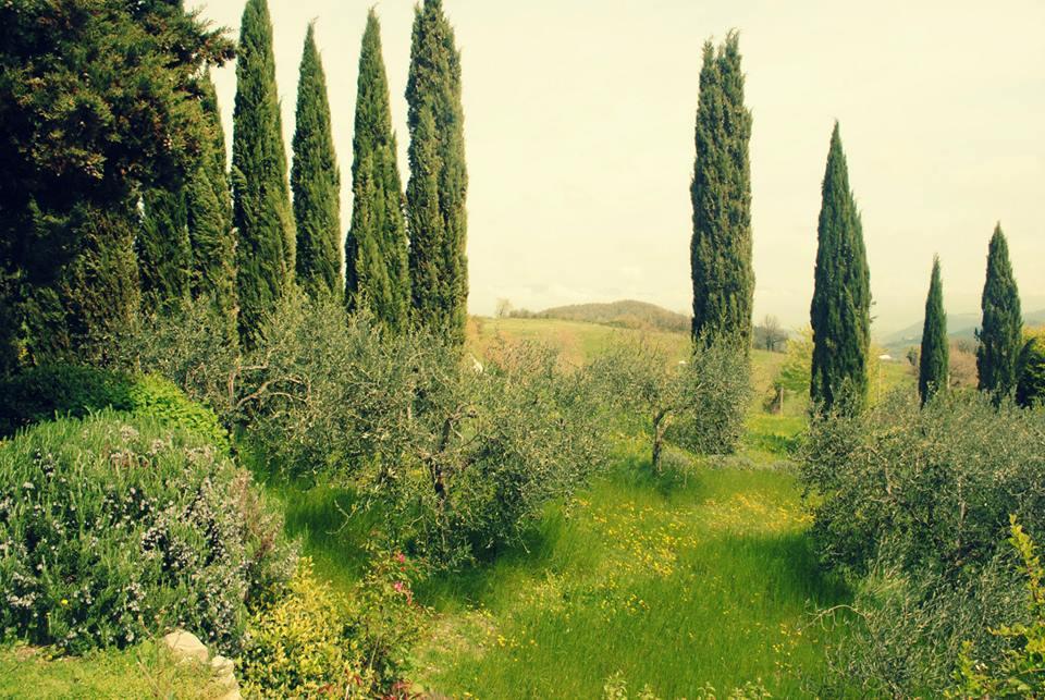 Appartamento Eremo di Santo Apollinare Messenano Esterno foto